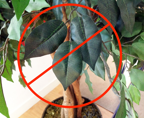 Why Fake Plants Are Bad for The Environment?