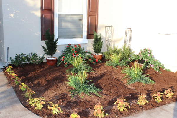 artificial plants outdoors-4