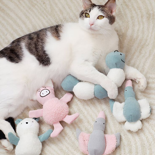 pet toy-4