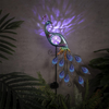 Garden Solar Outdoor Lights