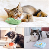 Pet Toys Catnip Toys