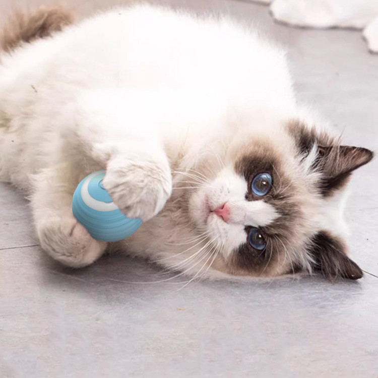 Cat Electronic Toy Ball