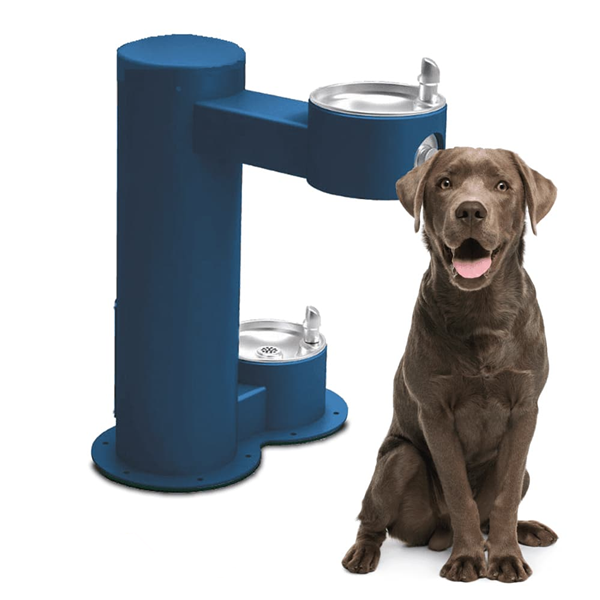 Are Pet Fountains Worth It?