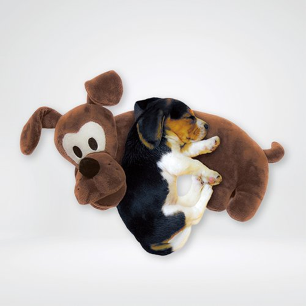How To Clean Stuffed Pet Toys