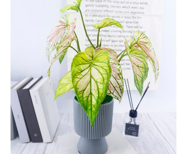Are Artificial Plants Bad for You