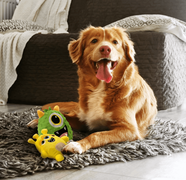 Can I Use Oxyclran on Pet Toys