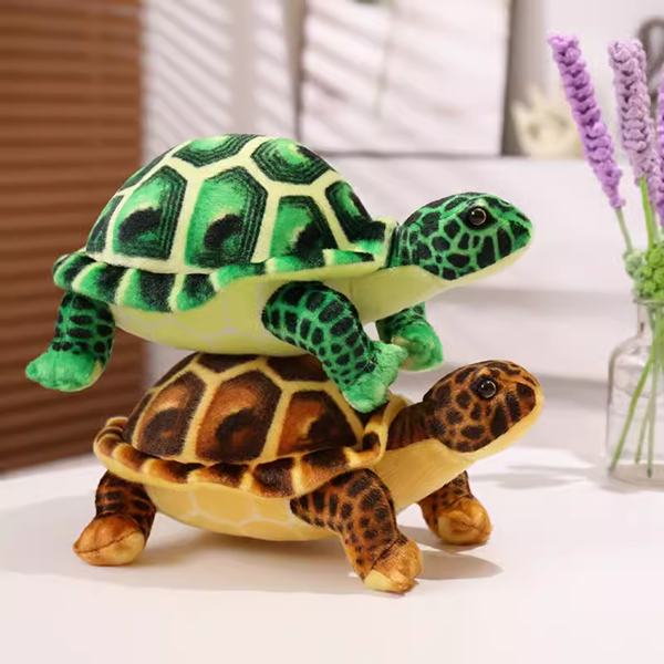 pet tortoises toy-1