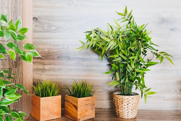 artificial plants-3