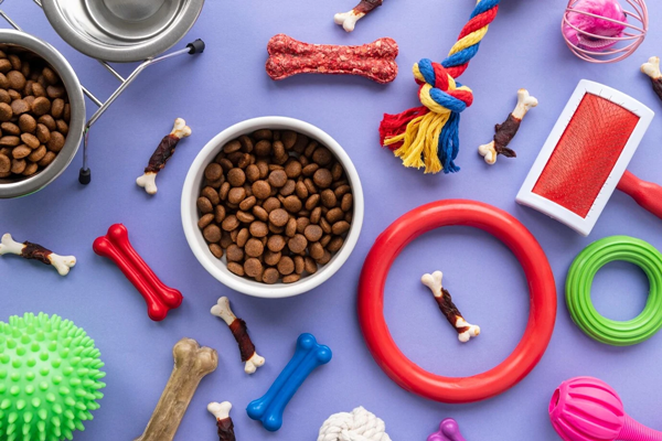 Do Pet Birds Prefer Colored Toys
