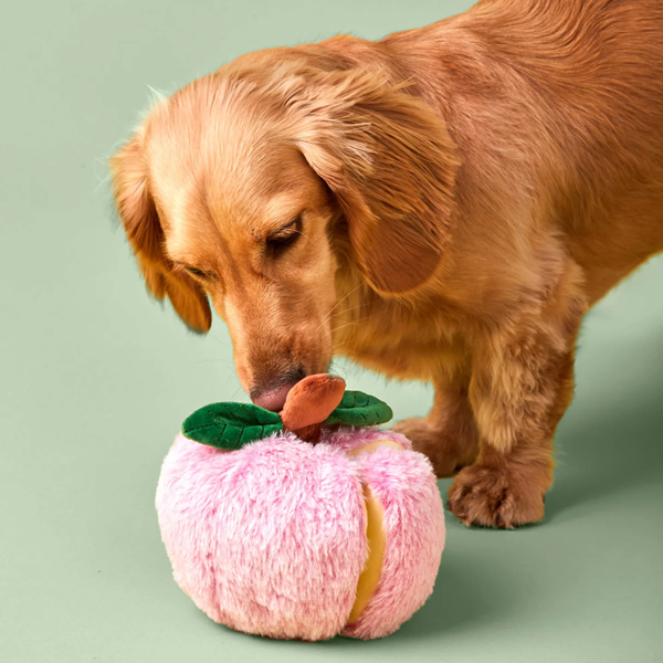 Can Pet Toys Be Patented