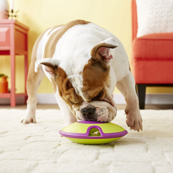 Pet interactive toys-3