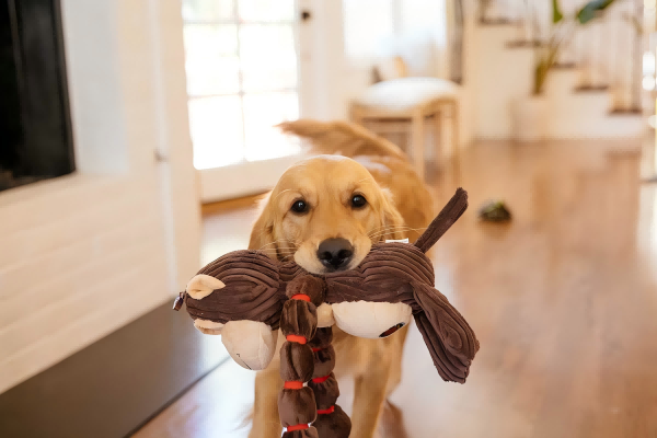 How To Make Pet Shop Toys