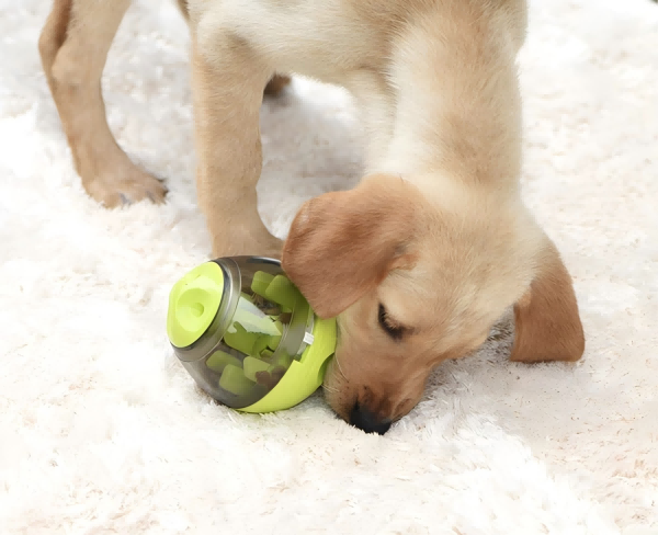 pet toy-3