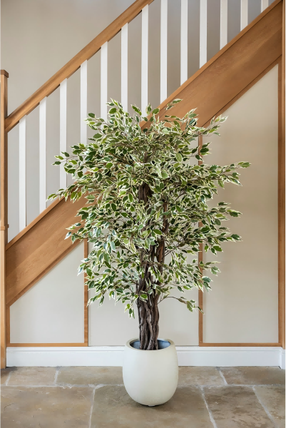 Artificial Plants decoration-2