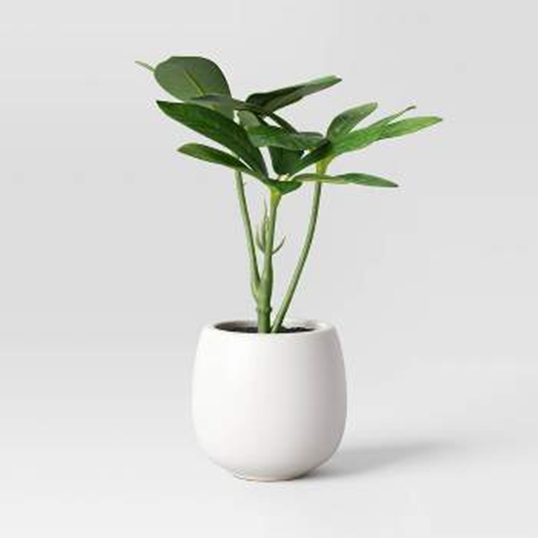 Is Artificial Plants Good for Home?