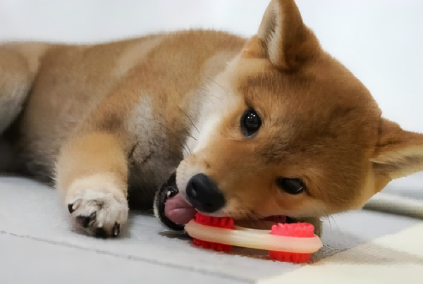 toys-1