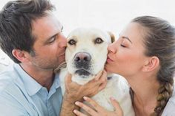 Why Do Dogs Like Kisses?