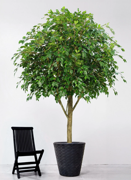 Artificial Plants-4