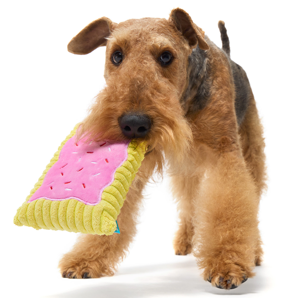 dog toy-3