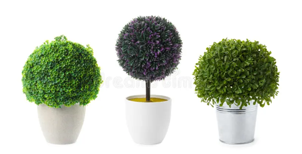 What Is The Purpose of Artificial Plants?