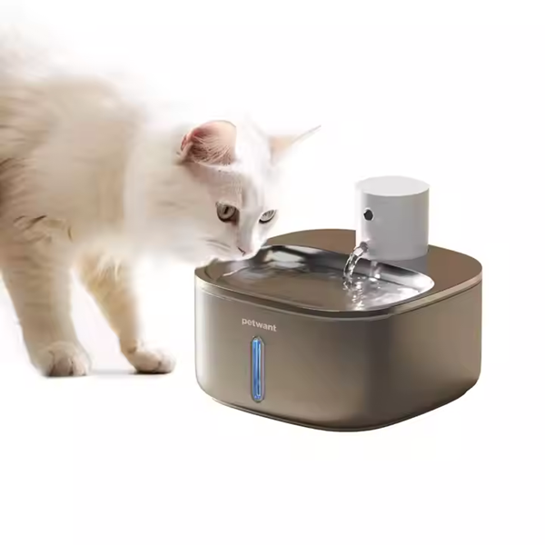 Should I Leave My Cat's Water Fountain on All The Time?