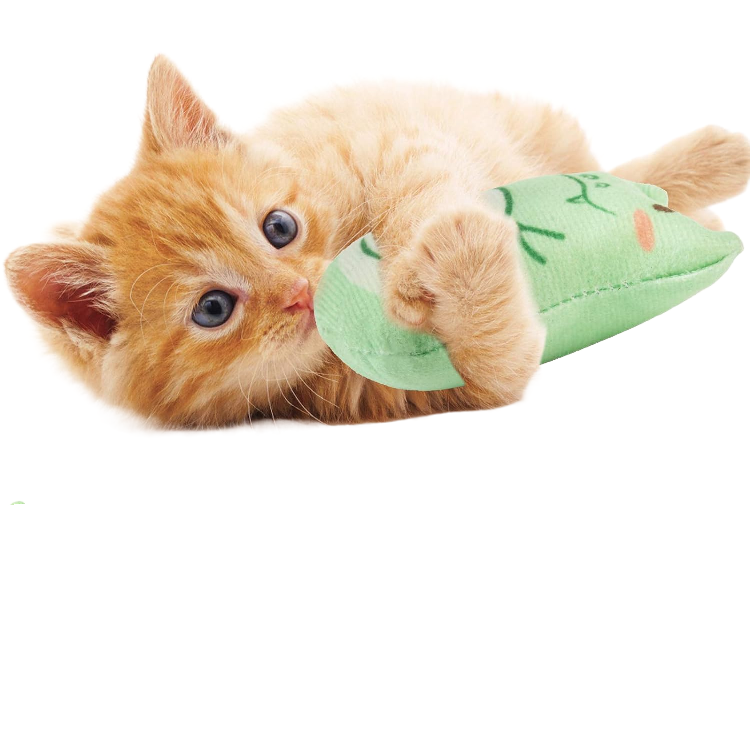 Pet Toys Catnip Toys