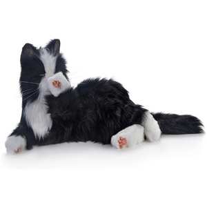 Simulation Black Pet Cat