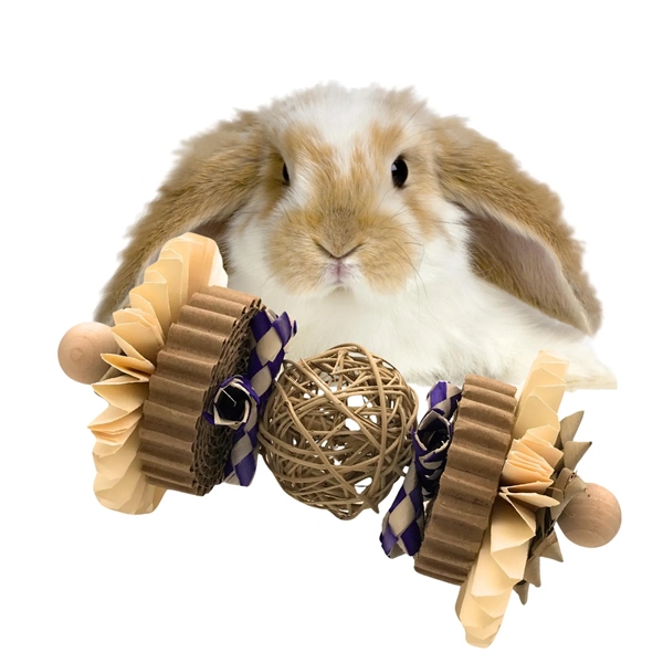 Can Yopu Get Legion Pet Toys