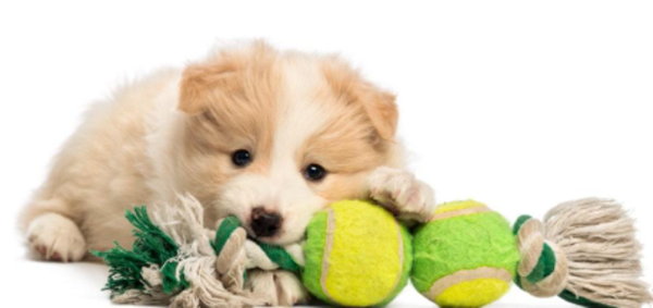 toys-1
