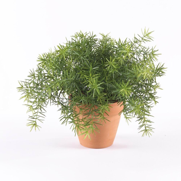 Are Artificial Plants Toxic