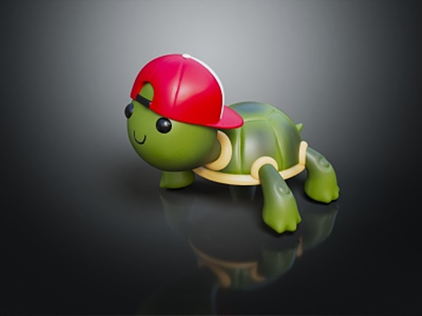pet tortoises toy-3