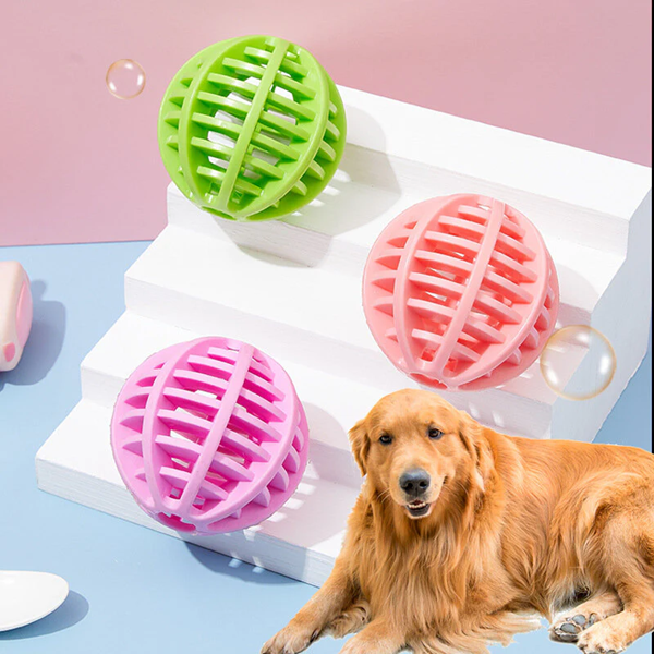Do Necros Need Pet Toys