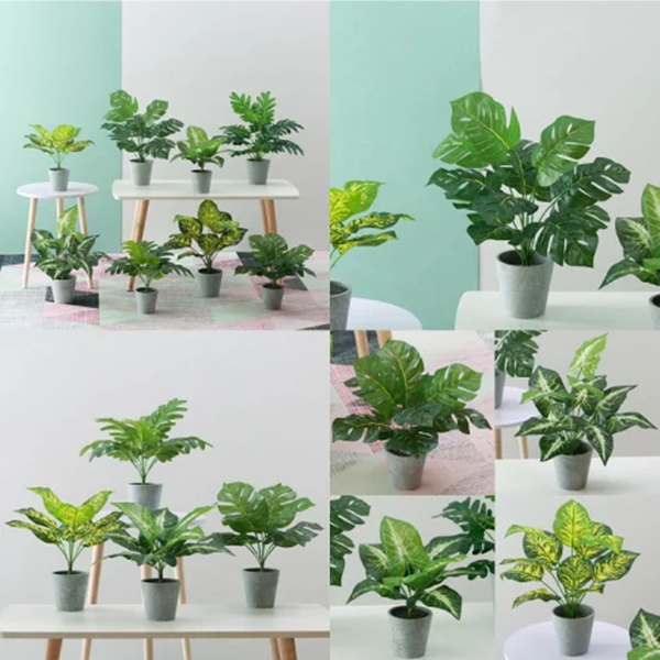 Are Artificial Plants Good for Aquarium
