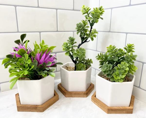 Can You Use Artificial Light for Plants