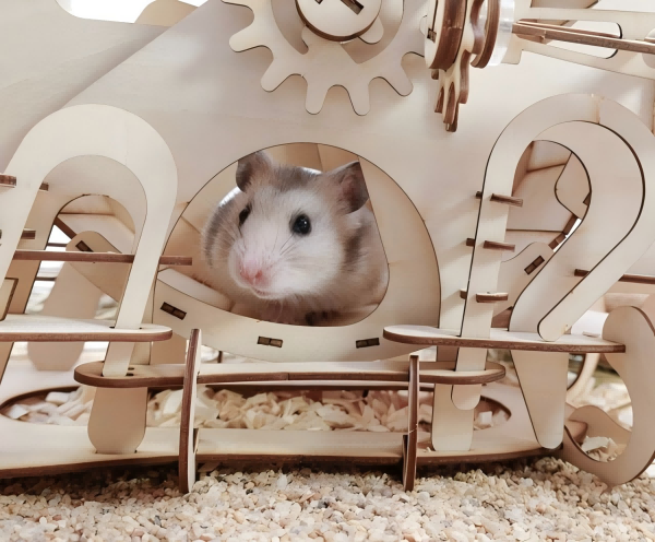pet mouse toy-2