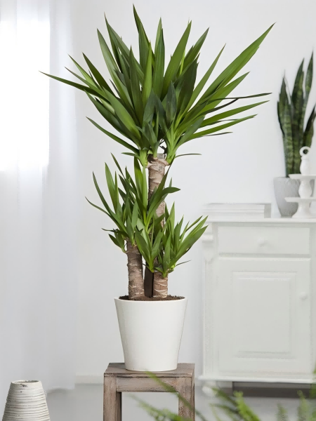 artificial plants -2