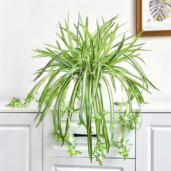 What Is The Best Way To Clean Artificial Plants