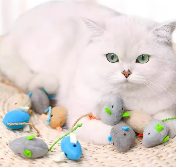 pet products-2