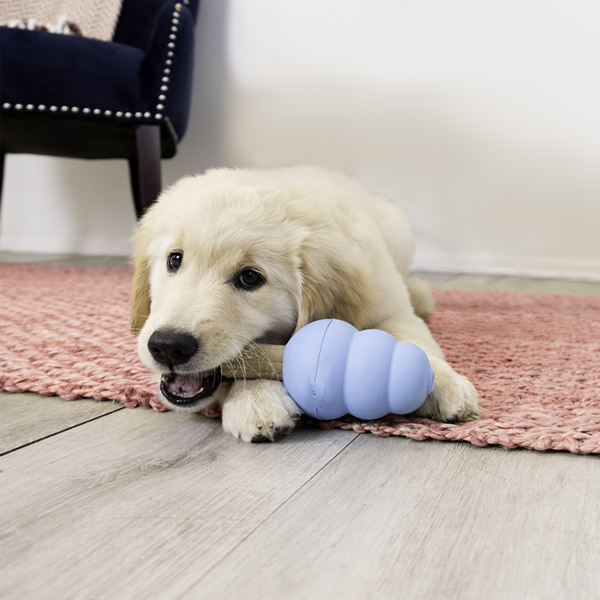pet toy-2