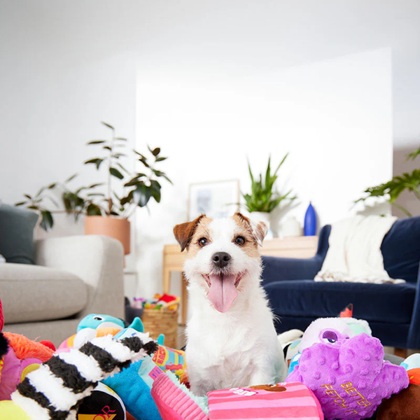 Pet Toys-3