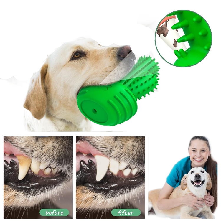 Pet Chew Toy Dog