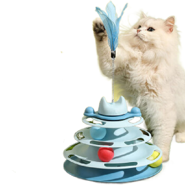 How Do I Interactive Play with My Cat?