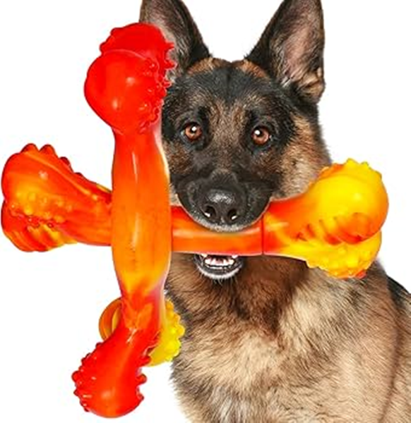 What Is The Safest Thing for A Dog To Chew On?