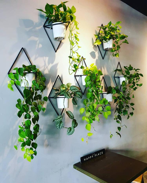 Is It Good To Have Artificial Plants?