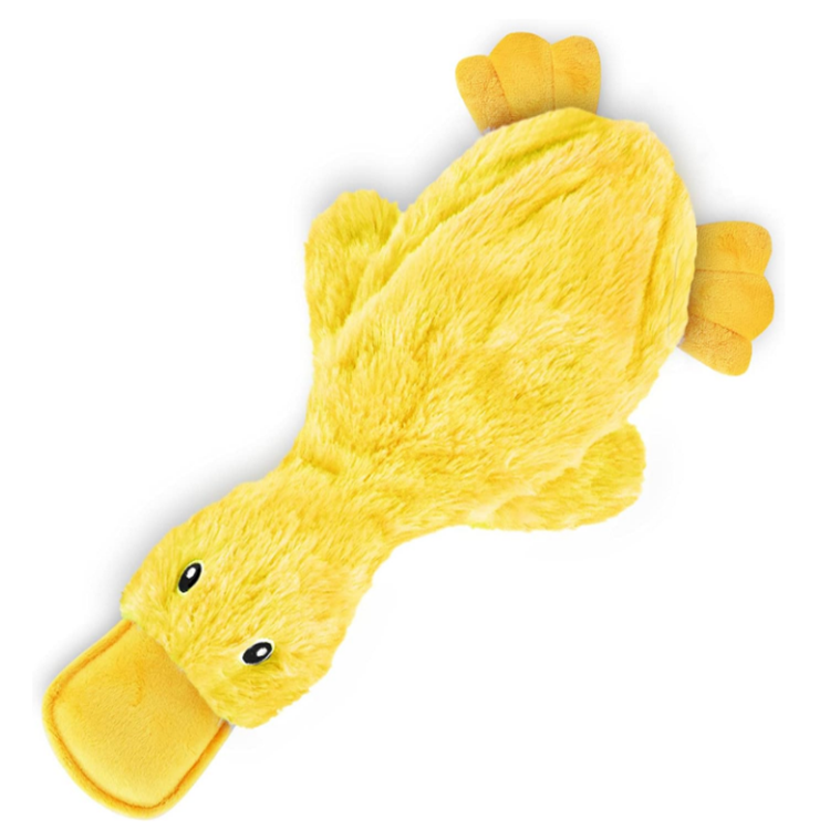 Best Pet Toy Unique