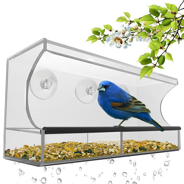 Are Acrylic Bird Cages Safe?
