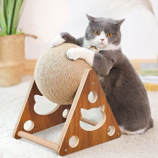 What Toy Do All Cats Love?