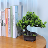 Artificial Plants Green Plants