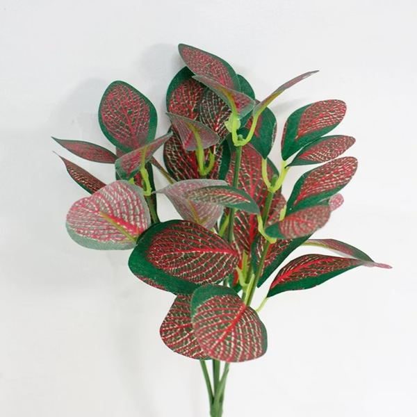 green plants-3