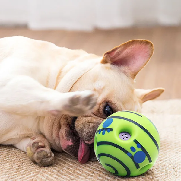 pet toys-2